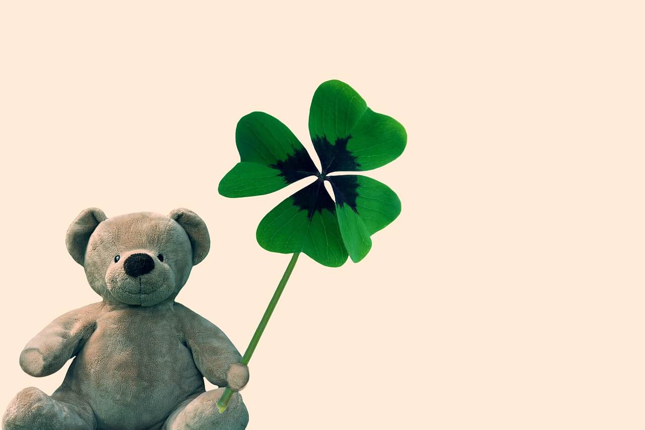 The Accident on the A35 by Graeme Macrae